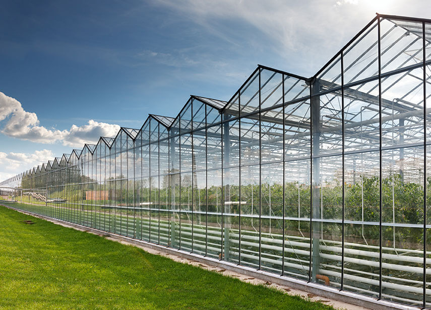 Impianti adiabatici per coltivazioni nei garden center: tecnologia avanzata per il microclima perfetto e risparmio energetico